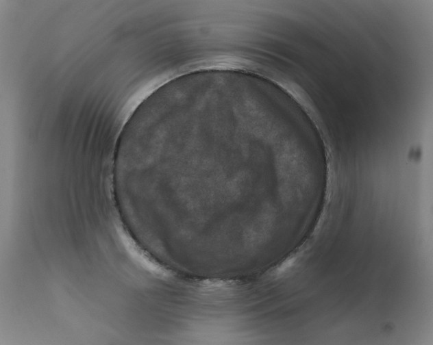 X0000112210850200909041339