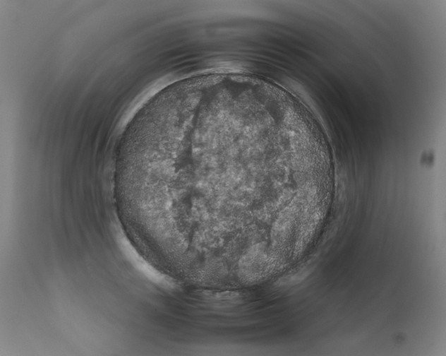 X0000112210851200909041339