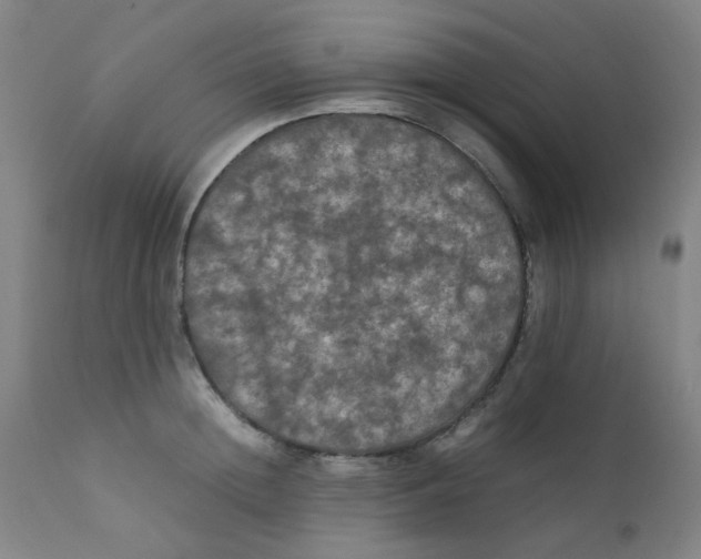 X0000112210852200909041339