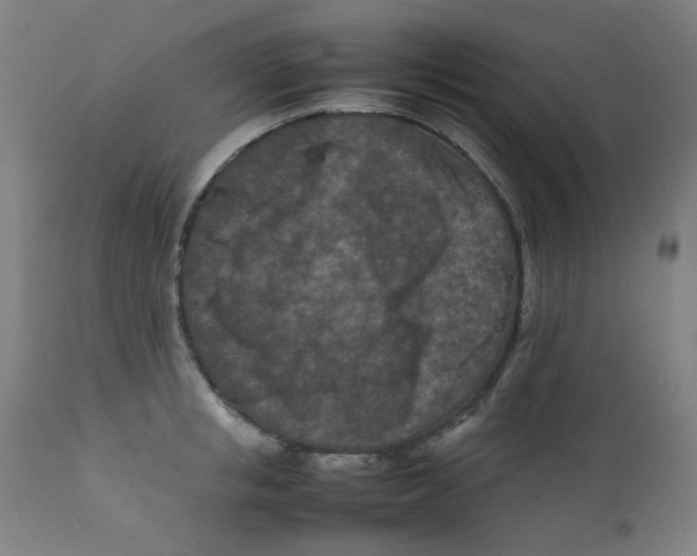 X0000112210853200909041339
