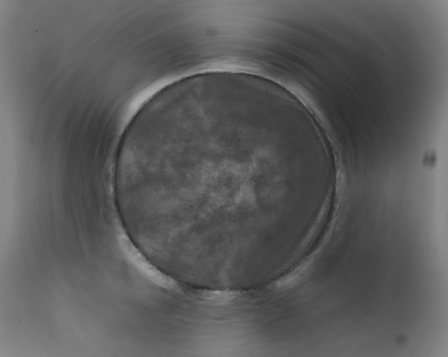 X0000112210854200909041339