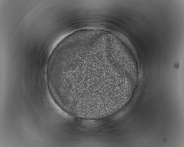 X0000112210855200909041339