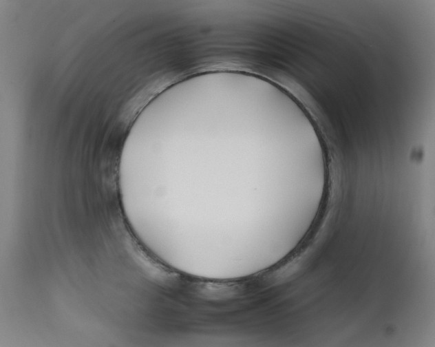 X0000112210857200909041339