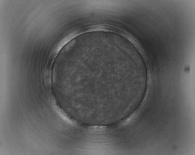 X0000112210858200909041339