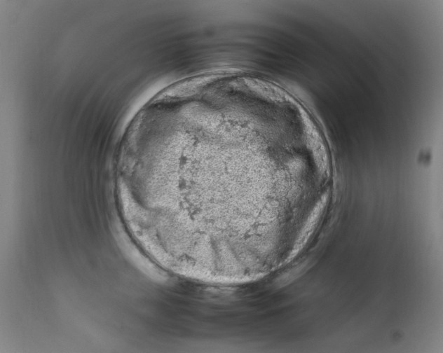 X0000112210859200909041339