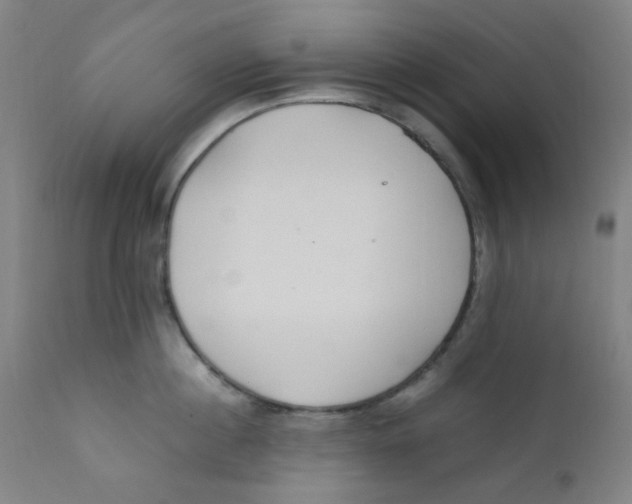 X0000112210860200909041339