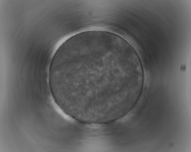 X0000112210862200909041339