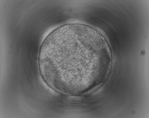 X0000112210863200909041339