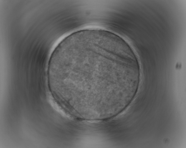 X0000112210864200909041339