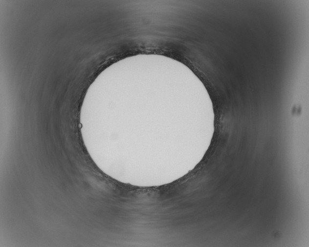 X0000112210865200909041339