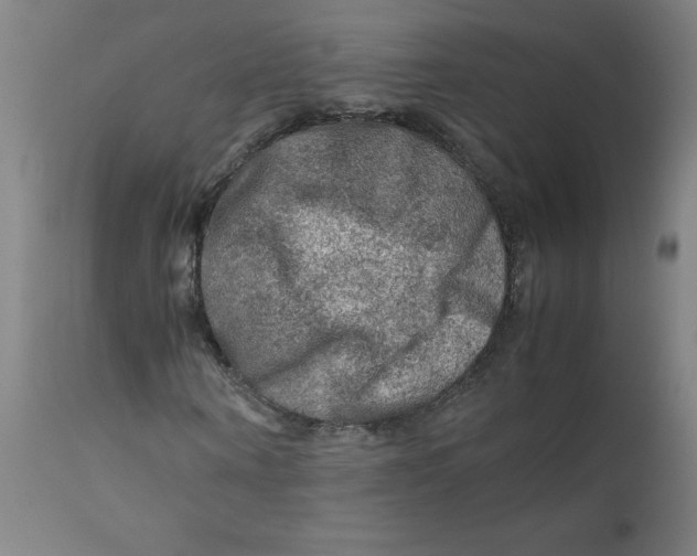 X0000112210866200909041339