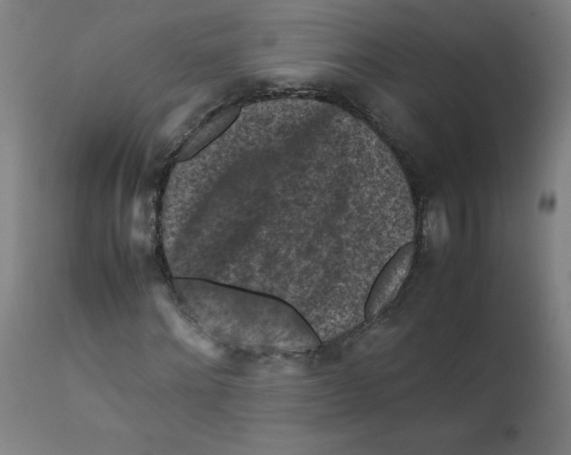 X0000112210868200909041339