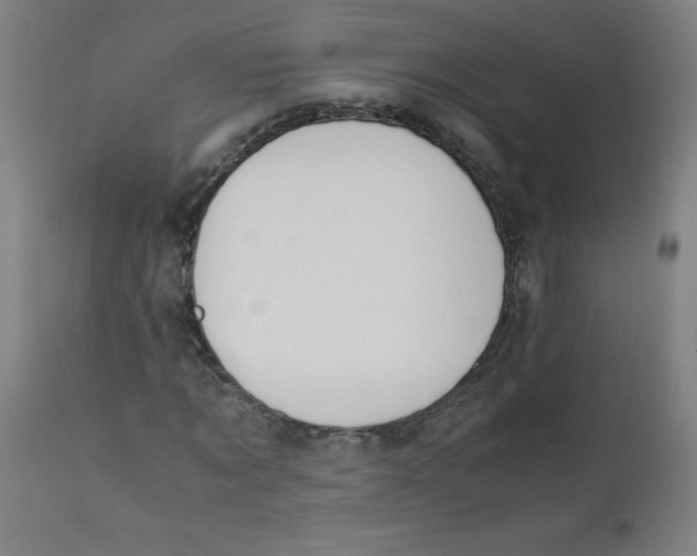 X0000112210869200909041339