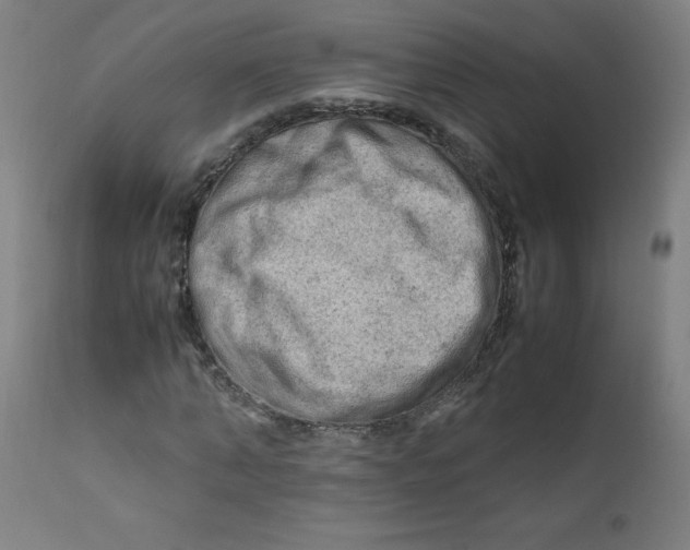 X0000112210870200909041339