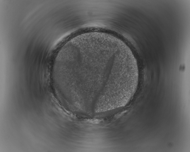 X0000112210872200909041339