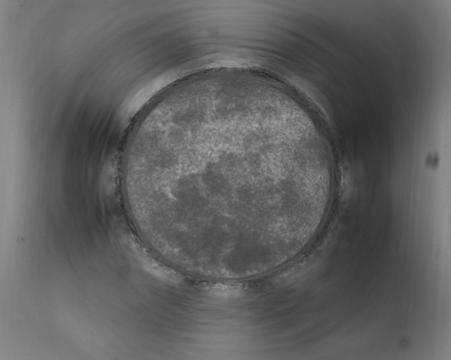 X0000112210874200909041339