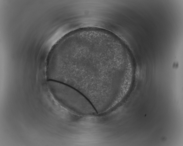 X0000112210877200909041338