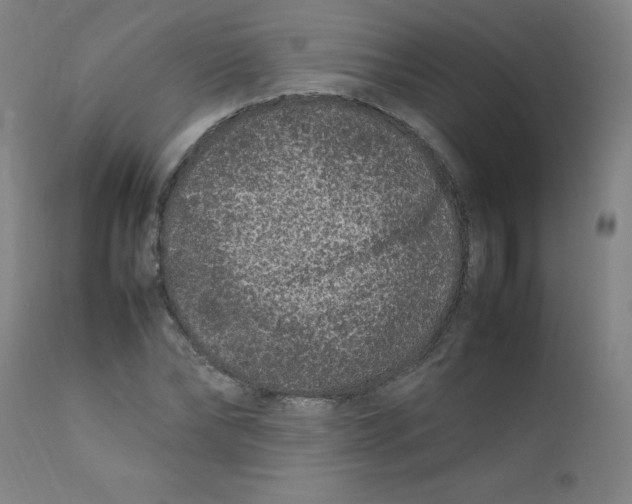 X0000112210878200909041338
