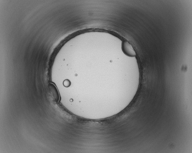 X0000112210880200909041338