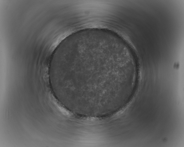 X0000112210881200909041338