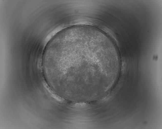 X0000112210882200909041338