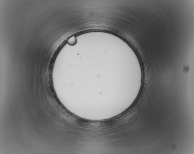 X0000112210883200909041338
