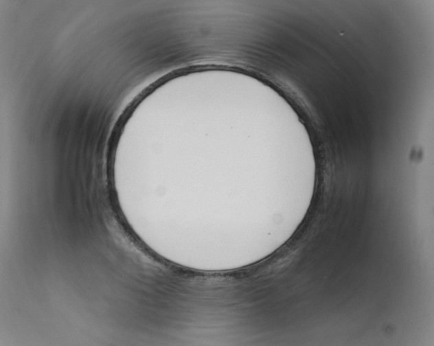 X0000112210884200909041338