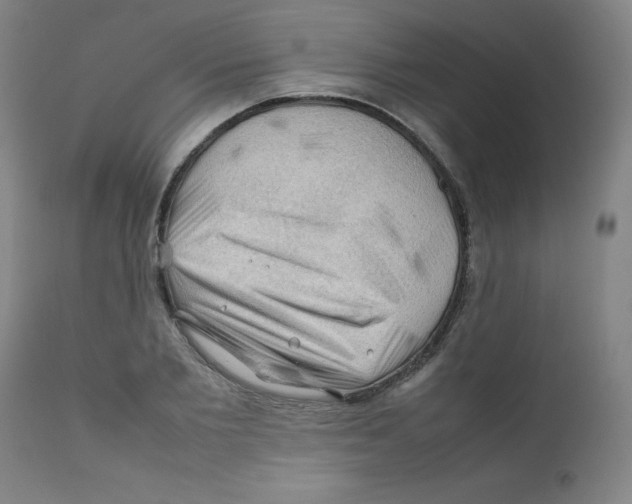 X0000112210885200909041338