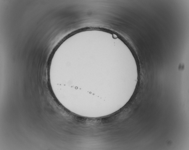 X0000112210887200909041338