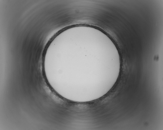 X0000112210888200909041338