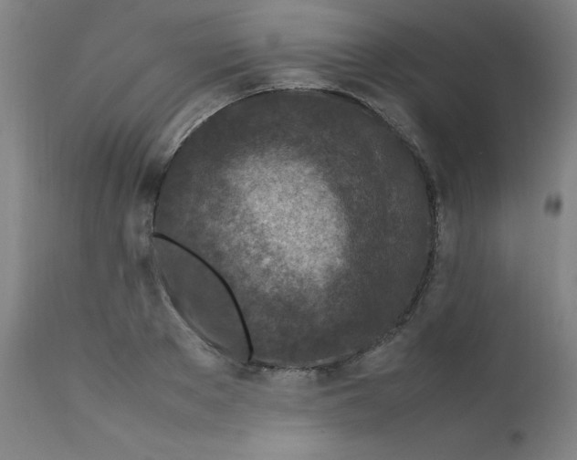 X0000112210889200909041338