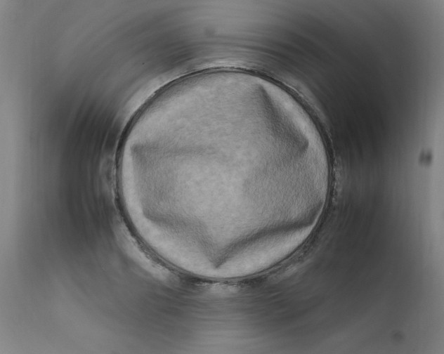 X0000112210890200909041338