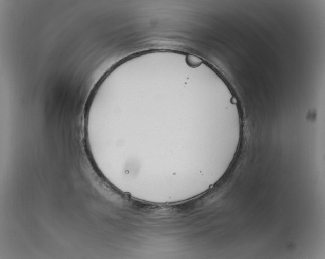 X0000112210891200909041338