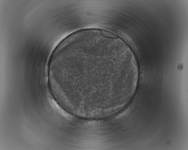 X0000112210892200909041338