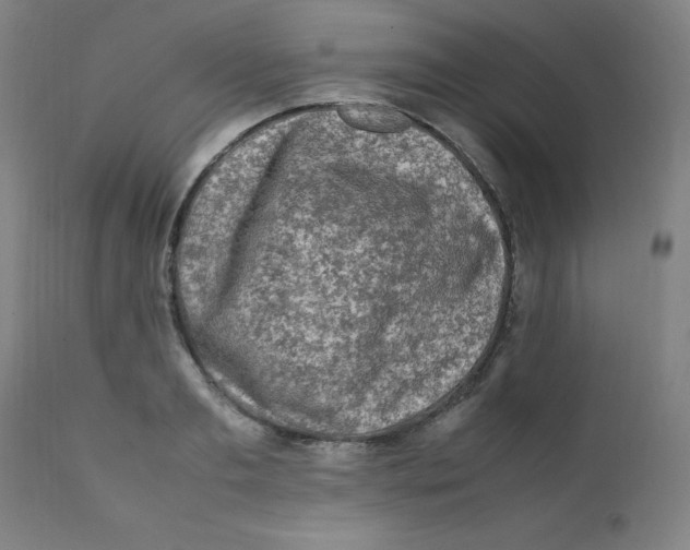 X0000112210893200909041338