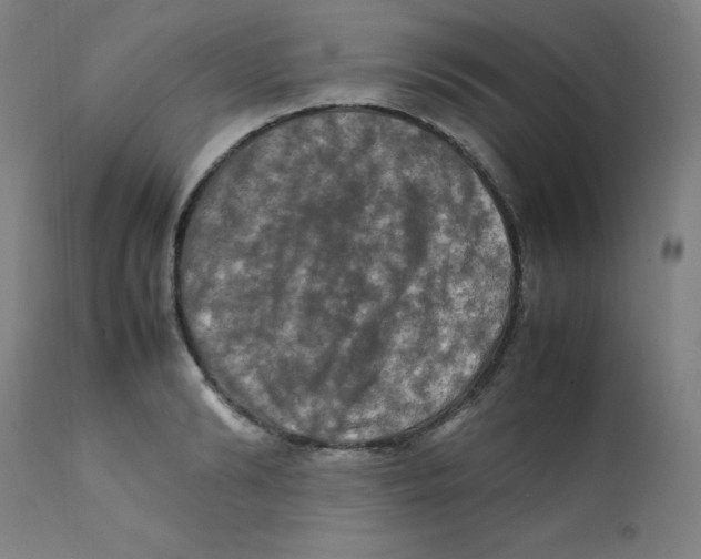 X0000112210894200909041338