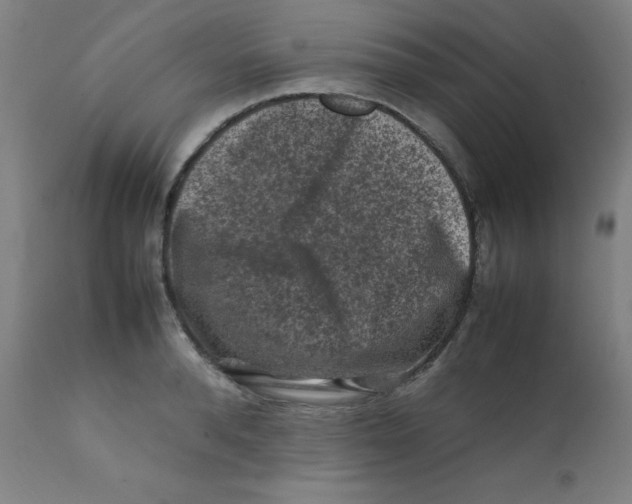 X0000112210896200909041338