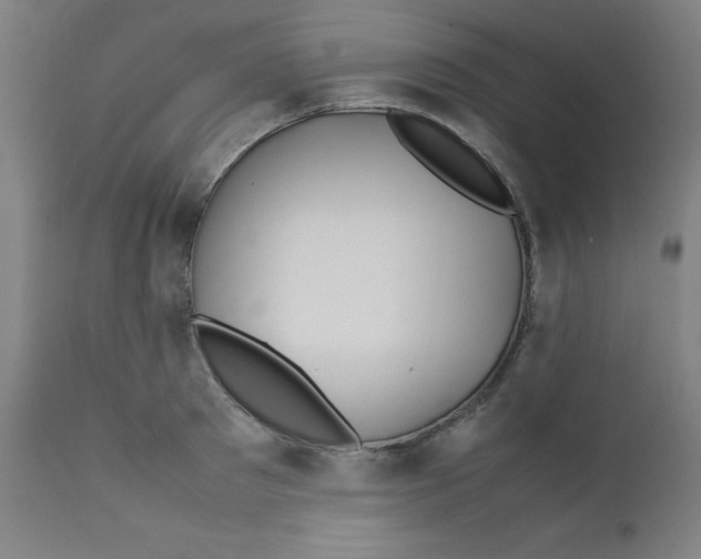 X0000112210897200909041338