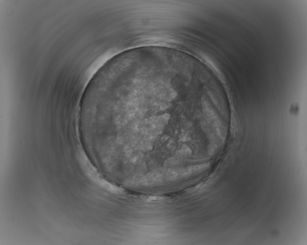 X0000112210899200909041338