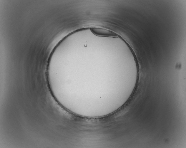 X0000112210901200909041338
