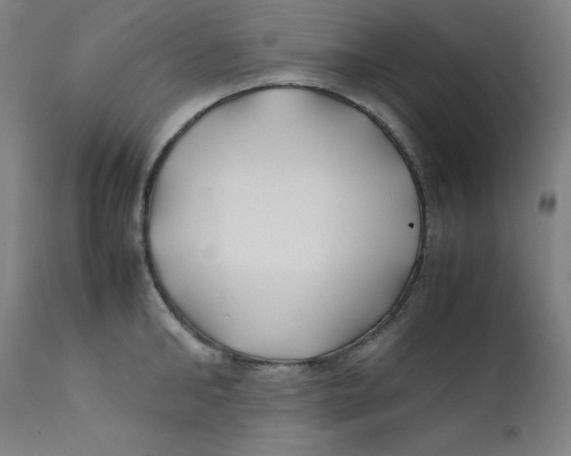 X0000112210902200909041338