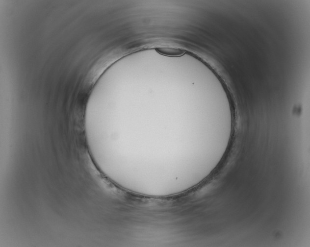 X0000112210905200909041338