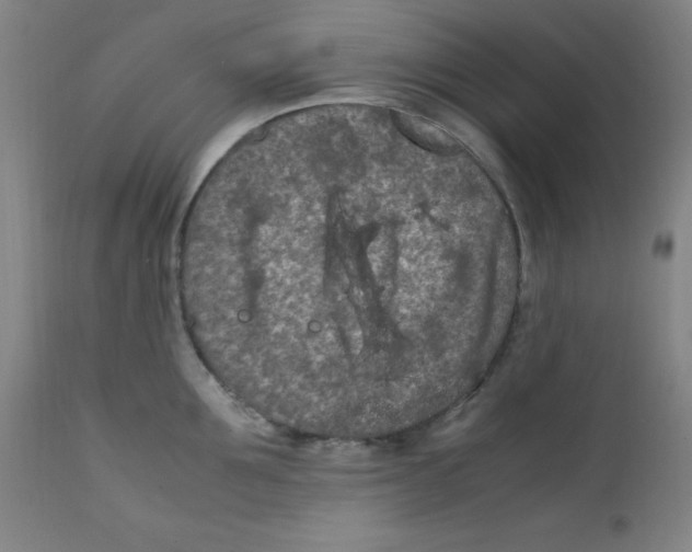 X0000112210907200909041338