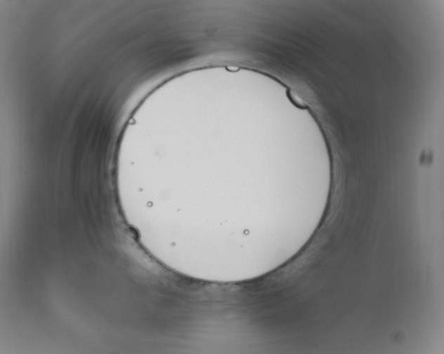 X0000112210912200909041338