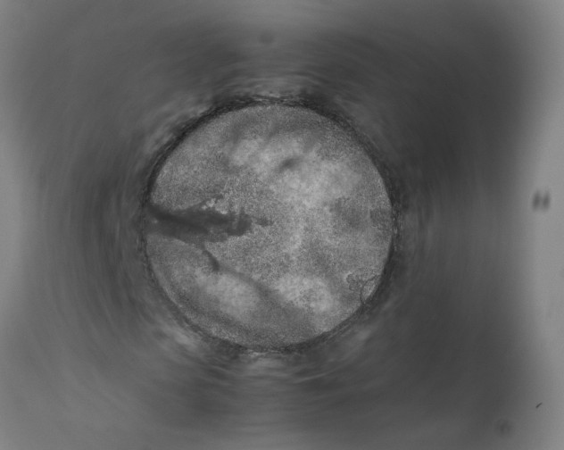 X0000112210913200909041337