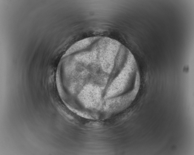 X0000112210914200909041337