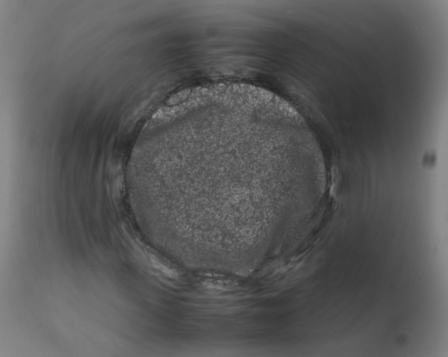 X0000112210915200909041337