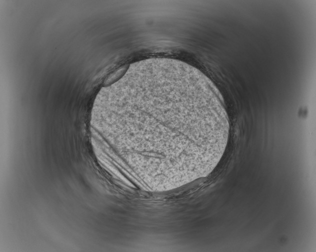 X0000112210916200909041337