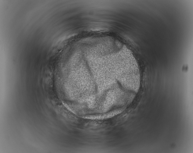 X0000112210917200909041337