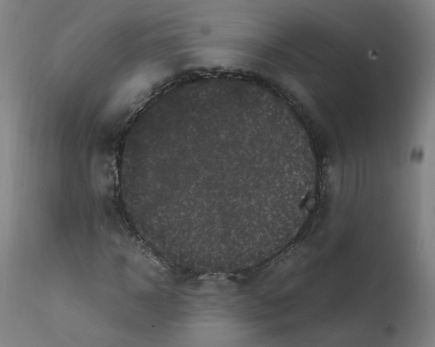 X0000112210918200909041337